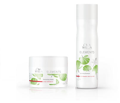 Pack Elements Renewing Shampoo + Mask 2 pieces